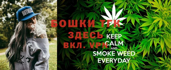 меф Пересвет