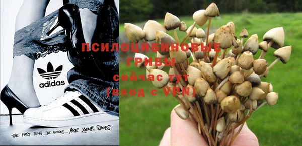 амф Балахна