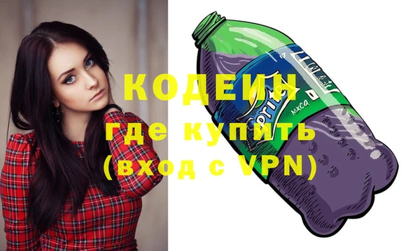индика Переславль-Залесский