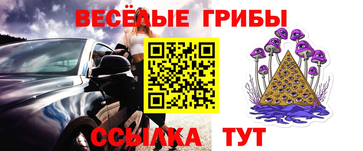 Галлюциногенные грибы Magic Shrooms  Вход с VPN  купить закладку  Соль-Илецк 