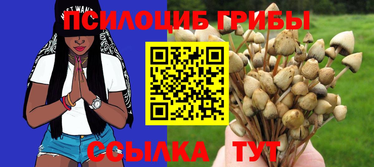 Псилоцибиновые грибы мухоморы Соль-Илецк