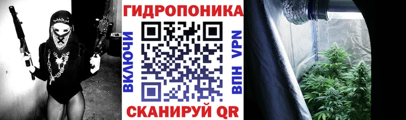 как найти наркотики  Соль-Илецк  Бошки Шишки Ganja 
